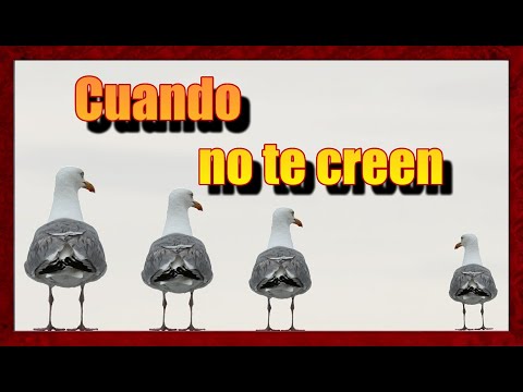 Se Reirán De Tí *LETRA* (VERSIÓN MEJORADA)