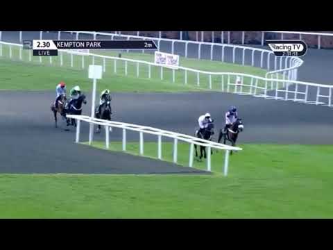 Unibet Christmas hurdle - 2018 verdant blue