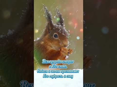 С первым днём зимы! Христианское пожелание