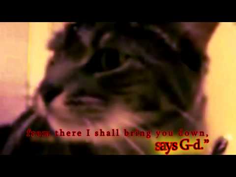 Perek Shirah - Nature's Song - Cat Scene