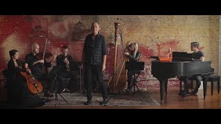 "The Feral Child" Music Video | We're Only Alive for A Short Amount of Time
