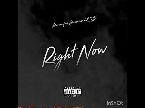 Graniez ft Gemini and ESB- Right Now