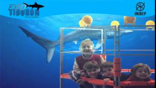 DIA 2 Expo Tiburon169