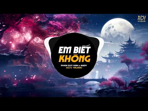 Em Biết Không (Andy Remix) - Phan Duy Anh | Người Ta Sống Với Em Thế Nào Sao Hương Sắc Em Phai Màu