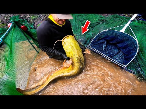 Netting a Fishing Lake - What Will We Catch?