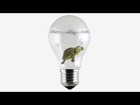 Slower Than a Turtle - The Speed of Electricity