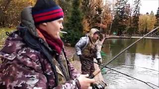 Леска для сбирулино бомбарда по весу