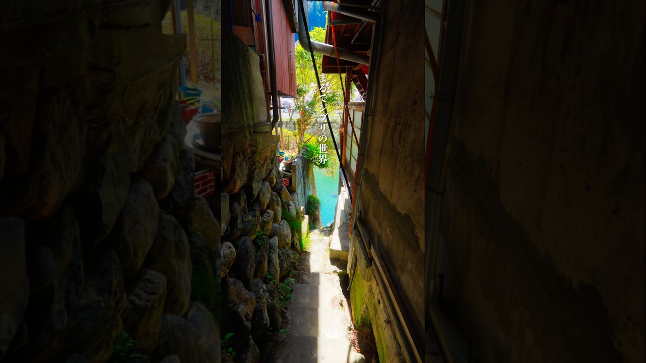 高知のとある路地裏がジブリの世界に迷い込んだみたいだった…