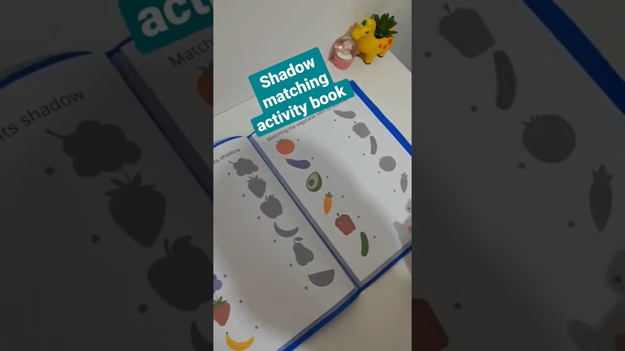 My own design shadow matching activity book. Follow My etsy shop. Link in description