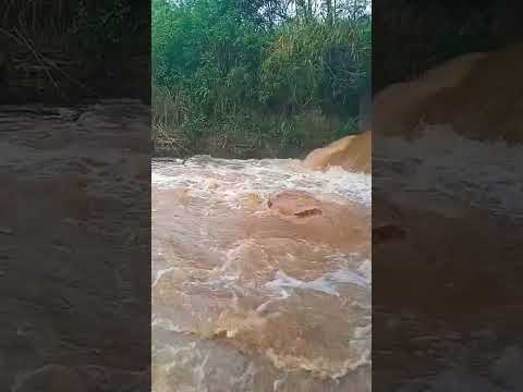 Rio imbauzinho congonhinhas Paraná