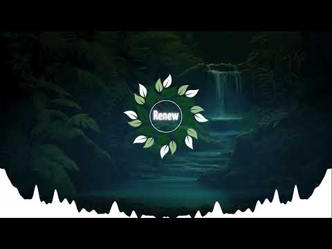 Renew Mix#13 - Drum&Bass Neurofunk & Disco