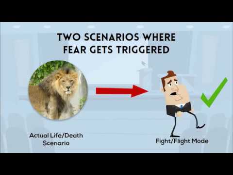 How fear affects the brain