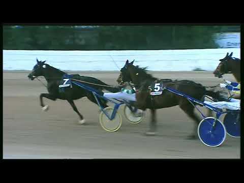 Trotto 06/11/2020 - 7ª corsa