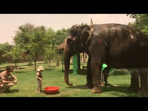 Luke Sweeney - 'Jaipur Ice Cream Truck' (Official Music Video)