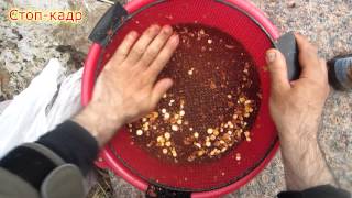 Сито для прикормки nautilus round bait sieve sizes