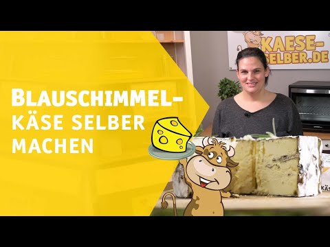 Make your own blue cheese | KAESE-SELBER.DE