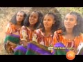 Mehari Degefaw - Alewotam Kewollo [Traditional Amharic Music Video]