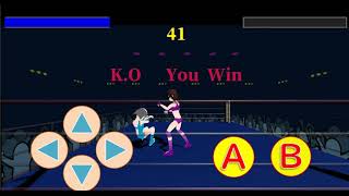 Fighting action game  "Fighting Girls"   Purple VS Skybule