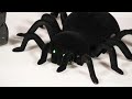 Cooler Stuff Spider voras su valdymo pultu, ropojantis per sieną