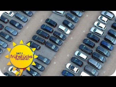 Besuch beim größten Autohaus Deutschlands: Hier wird jeder fündig! | SAT.1 Frühstücksfernsehen | TV