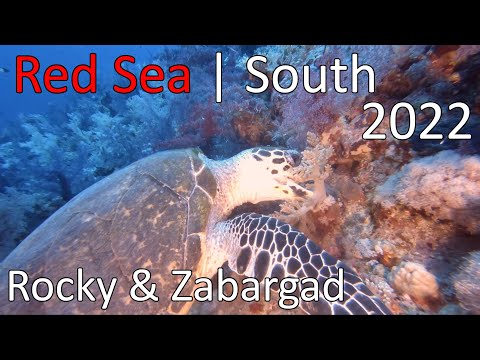 Diving Red Sea | Deep South 2022 | Tauchen in Ägypten | Rocky & Zabargad