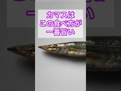 EADS カマス - 定義