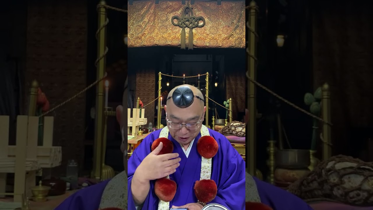 檀家寺でなくて良かったかも？《YouTubeが自動作成》LIVEハイライト◇YouTubeさん作ってくれてありがとう🙇せっかくなので公開致します #shorts