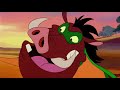 Timon And Pumba In Hindi Cartoon Kidsvideo Kidsfun