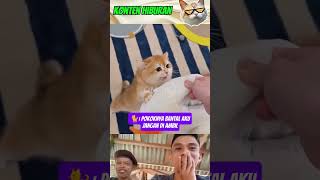 Download lagu don't wash oyen pillow‼️ #funny #funny mp3
