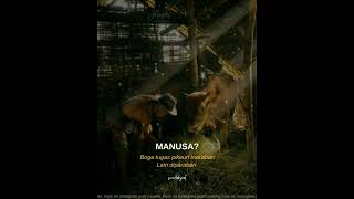 Download lagu Sunda bijak Harti Manusa vidio pendek instagram status WA status WA sunda mp3
