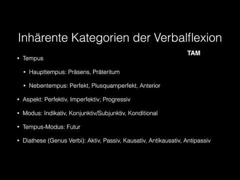 Sprachwissenschaft 8: Verbalflexion