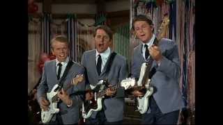 The Beach Boys &amp; Annette Funicello - The Monkey&#39;s Uncle