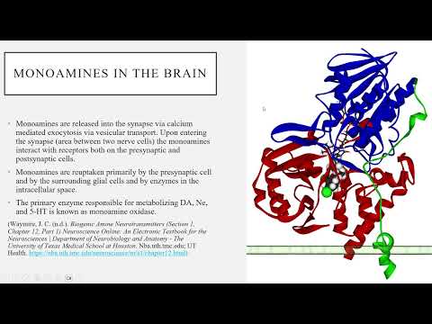 Monoamine Theory of Mood Disorders and Depression
