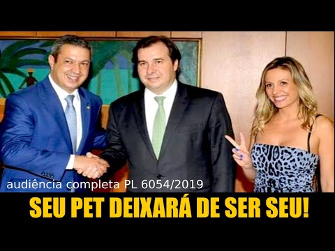 Audiência Completa  Natureza Jurídica dos Animais Domésticos PL 6054/19