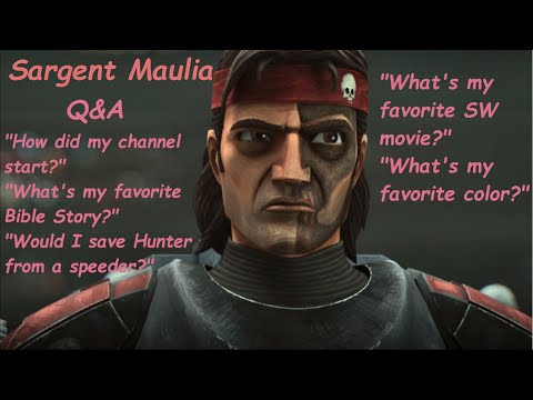 Answering your questions! Q&A | 500 SUB SPECIAL! | Sargent Maulia