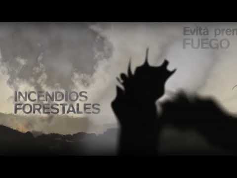 Defensa Civil advierte que hay alerta máxima de incendios forestales