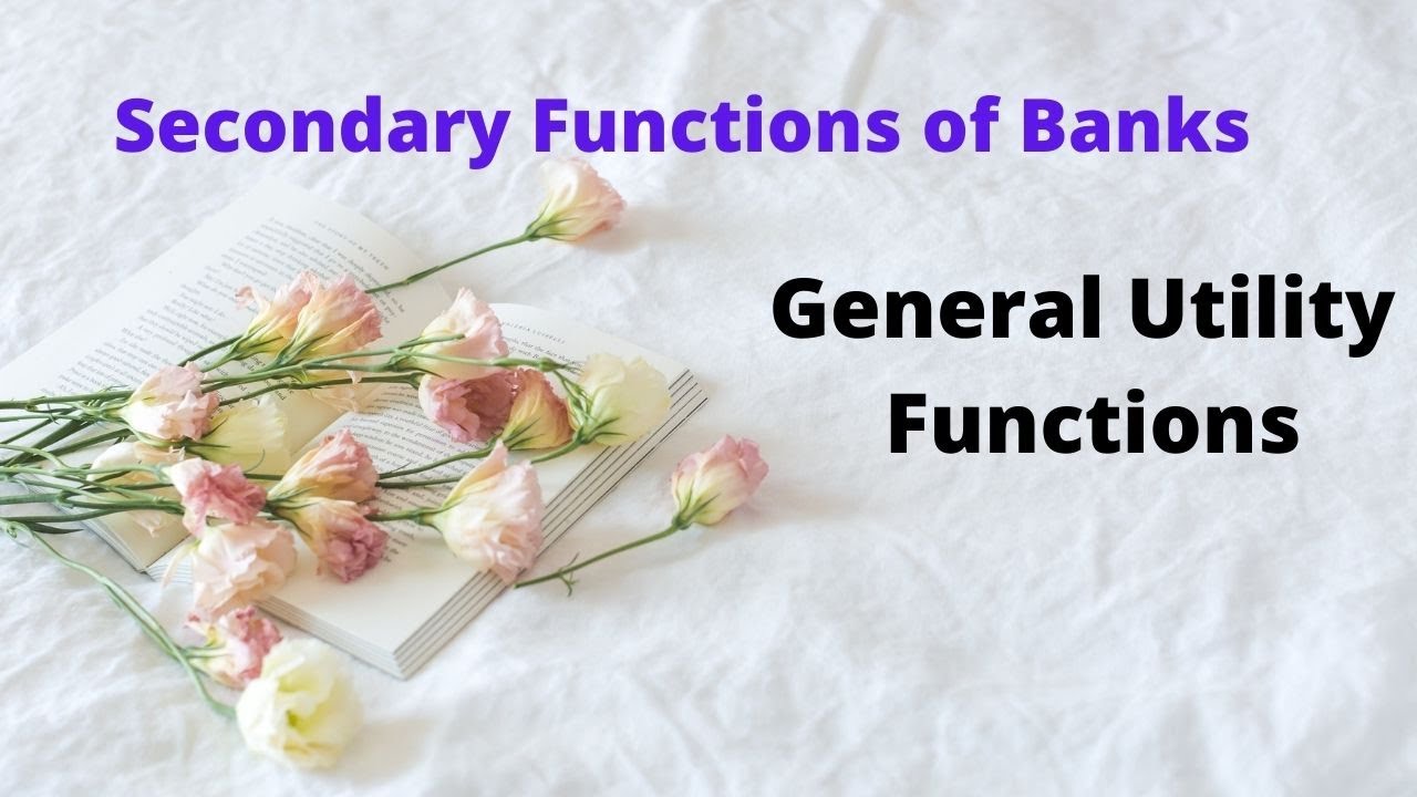 General utility Functions- Functions of Banks- Secondary functions