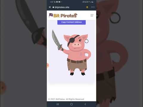 Bitpirates lauch token per token value 7 dollar  claim to 250 token