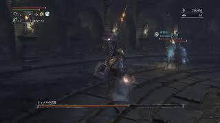 Bloodborne　ブラッドボーン　筋技ビルド　自作聖杯ダンジョンしないと栄養失調　 参加◯