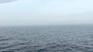 2014 Chicago to Mackinac Race - Ghost Ship off Pendragon