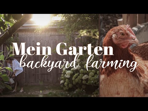 , title : 'Backyard Farming 👩‍🌾 das pflanzen & ernten wir - Rundgang durch unser Gartenjahr 🥕🌱🥔'