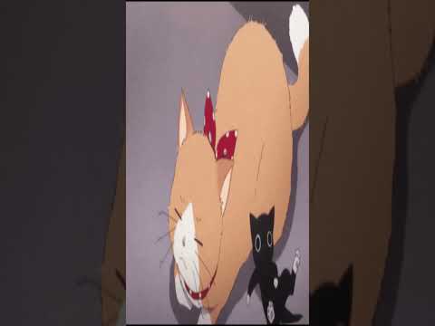 Thunder Nap - Lofi Hip Hop