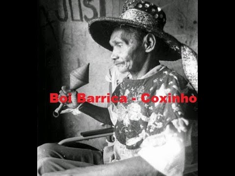 Coxinho video