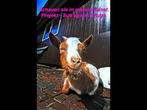 Gangsterhaterin - Muh Muh 2 (diss gegen Gayrut - Schmock Life - Meine Stadt "Berlin" (Part 63) )