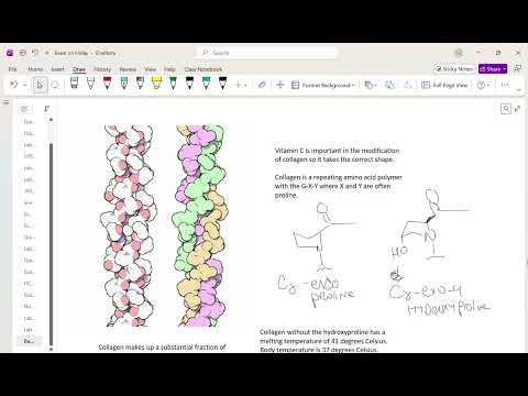 101926 Lecture Video