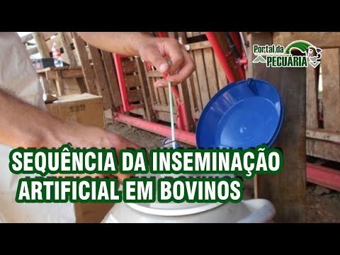 , title : 'Sequencia da inseminação artificial em bovinos'