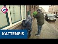 Honden en katten plassen scootmobiel van Scheveningse Don onder - OMROEP WEST