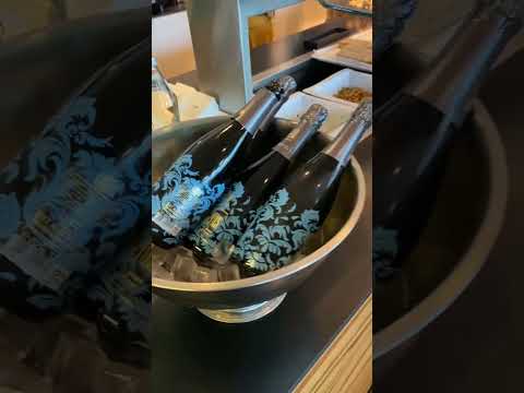 Sky Lounge no Aeroporto Internacional de Viena - Revisão