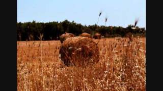 Perry Blake - This life