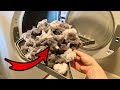Dryer Lint Trap Deep Cleaning: I found 4 cups of fluff below the filter! (cleaning motivation)